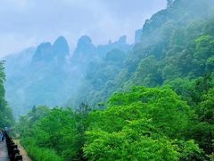 -业华湘·特色菜