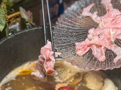 -芸山季·云南山珍菌火锅(人民广场来福士店)