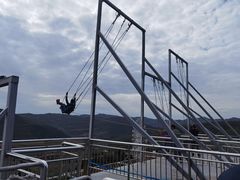 -铜川市金锁关石林