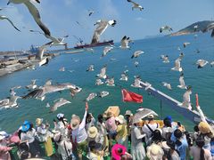 -海驴岛(荣成市)