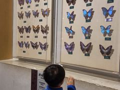 -陕西自然博物馆