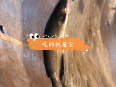 -渔太泰漓江小馆·广西融合菜(西街店)