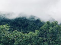 -五女峰国家森林公园