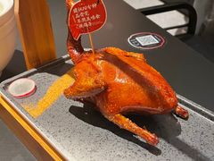 -羽鸽集·乳鸽专门店·地道顺德菜(岭南站店)