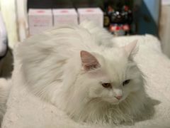 -小时光咖啡馆(开森度假森林店)