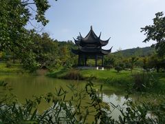 -龙寺生态园