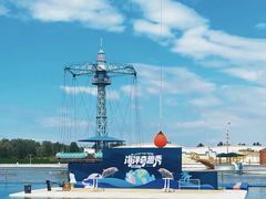 -秦皇岛乐岛海洋王国