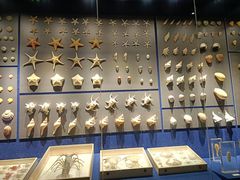 -重庆自然博物馆(新馆)