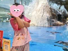 -帝企鹅自助餐厅•儿童岛•真企鹅(长隆企鹅酒店)