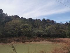 -青龙山国家森林公园