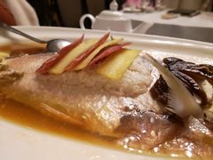 -沪碟·精菜坊(闵行店)