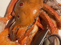 -安蒂娅·海鲜自助餐厅(安蒂娅美兰酒店)