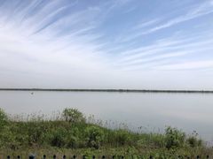 -江滩湿地公园