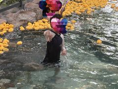 -湖泉半山温泉