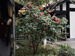 -望江楼公园