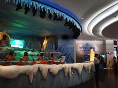 -帝企鹅自助餐厅•儿童岛•真企鹅(长隆企鹅酒店)