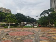 -石排湾郊野公园