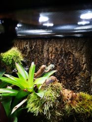 -酷嗒动物文化乐园(cutezoo西溪乐天城店)