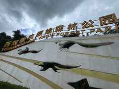 -西双版纳原始森林公园