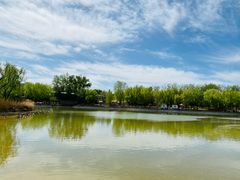 -三忘湖 SWANSEEN(柳荫公园店)