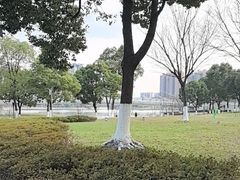 -映月湖中央公园