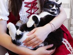-白夜2D咖啡馆