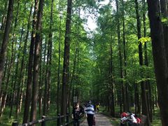 -共青国家森林公园-售票处