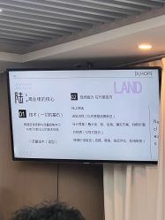 点击看大图 -DL HOPE造型