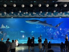 -烟台海昌鲸鲨海洋公园