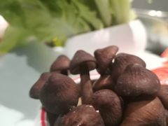 -吴记百家·私房菜·家宴(润园店)