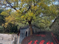 -崂山仰口游览区