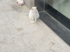 -欢乐季(南城店)