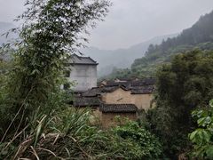 -杨家堂村
