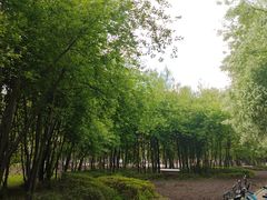 -吉林大学(前卫南区)