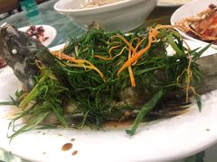 清蒸龙胆石斑鱼-四姑娘川味海鲜(八爪鱼店)