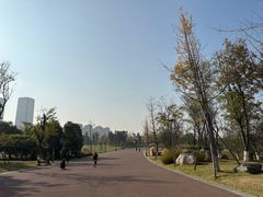 -桂溪生态公园