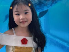 -海合安成都极地海洋公园