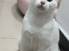 -太二酸菜鱼(石家庄万象城店)