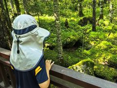 -汤旺河林海奇石景区