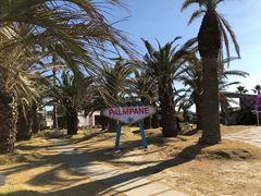 -Cafe Aewol Monsant