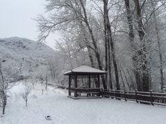 -妙峰山风景名胜区