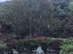 -黄山温泉国际旅游度假区