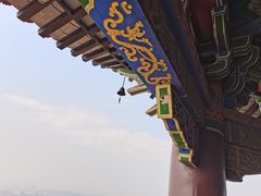 -铁山坪森林公园