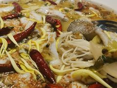 -渔语鱼新川菜Bistro(万象天地店)