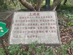 -上海佘山国家森林公园天马山园