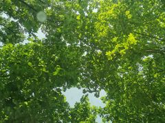-WeLope紫金山探险公园