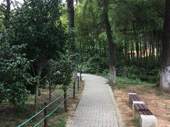 -宝岩生态观光园