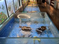 -壹只菜·崇明本地特色菜(崇明南门店)