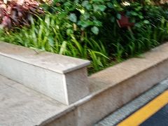 -广州市第一人民医院(院本部)