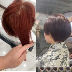 -镁连社·美联社